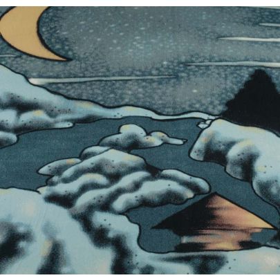 100% Cotton Twill PP Printed Blue Fabric