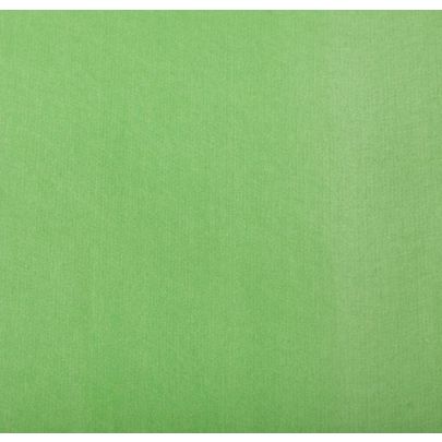 100% Silk Georgette Green Fabric